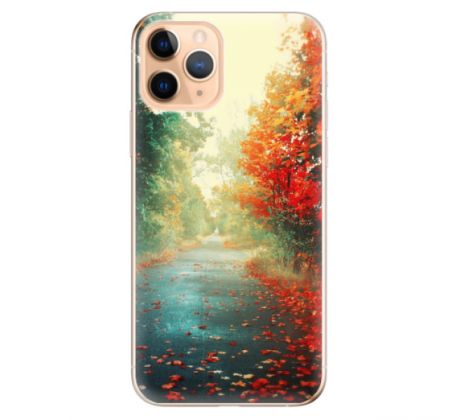 Odolné silikonové pouzdro iSaprio - Autumn 03 - iPhone 11 Pro