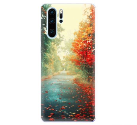 Odolné silikonové pouzdro iSaprio - Autumn 03 - Huawei P30 Pro